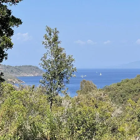 Boschetto Del Gualdo By Solturelba * Porto Azzurro