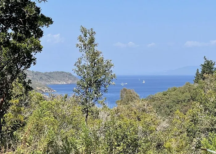 Boschetto Del Gualdo By Solturelba * Porto Azzurro